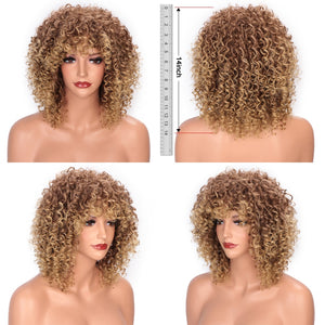 14inches Afro Kinky Curly Synthetic Wig With Bangs