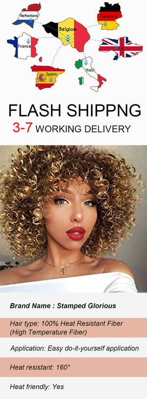 14inches Afro Kinky Curly Synthetic Wig With Bangs